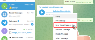 Kaip atsisiųsti garso įrašą iš telegramos